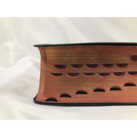 The Holy Bible King James Version Thomas & Sons Self-Pronouncing Long primer EUC - Picture 9 of 16